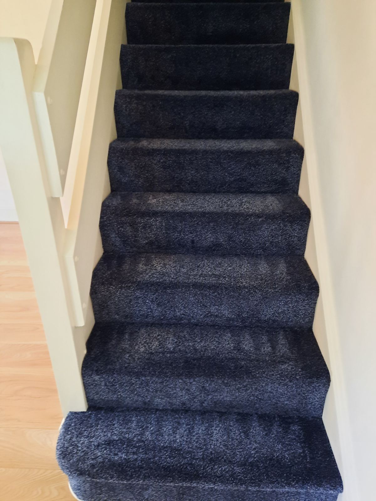 Carpet Cleaning Guildford Expert Carpet Cleaners GU