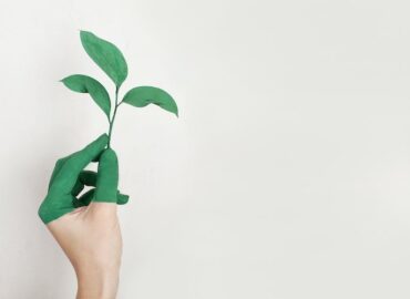Eco-Friendly Cleaning: Protecting Your Home and the Environment